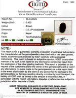 Load image into Gallery viewer, 0.920 Gram Natural Two Mukhi Rudraksha with Govt. Lab Certificate-KG615126