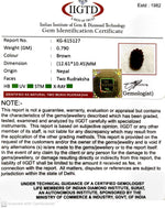 Load image into Gallery viewer, 0.790 Gram Natural Two Mukhi Rudraksha with Govt. Lab Certificate-KG615127