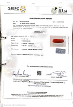 Load image into Gallery viewer, 7.03/CT Natural Red Coral With Govt. Lab Certificate