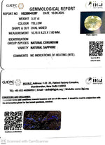 Load image into Gallery viewer, 5.57/CT Natural Yellow Sapphire With Govt Lab Certificate (16650)