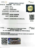 Load image into Gallery viewer, 6.58/CT Natural Yellow Sapphire With Govt Lab Certificate (12210)