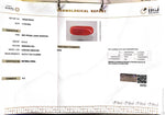 Load image into Gallery viewer, 8.13/CT Natural Red Coral With Govt. Lab Certificate