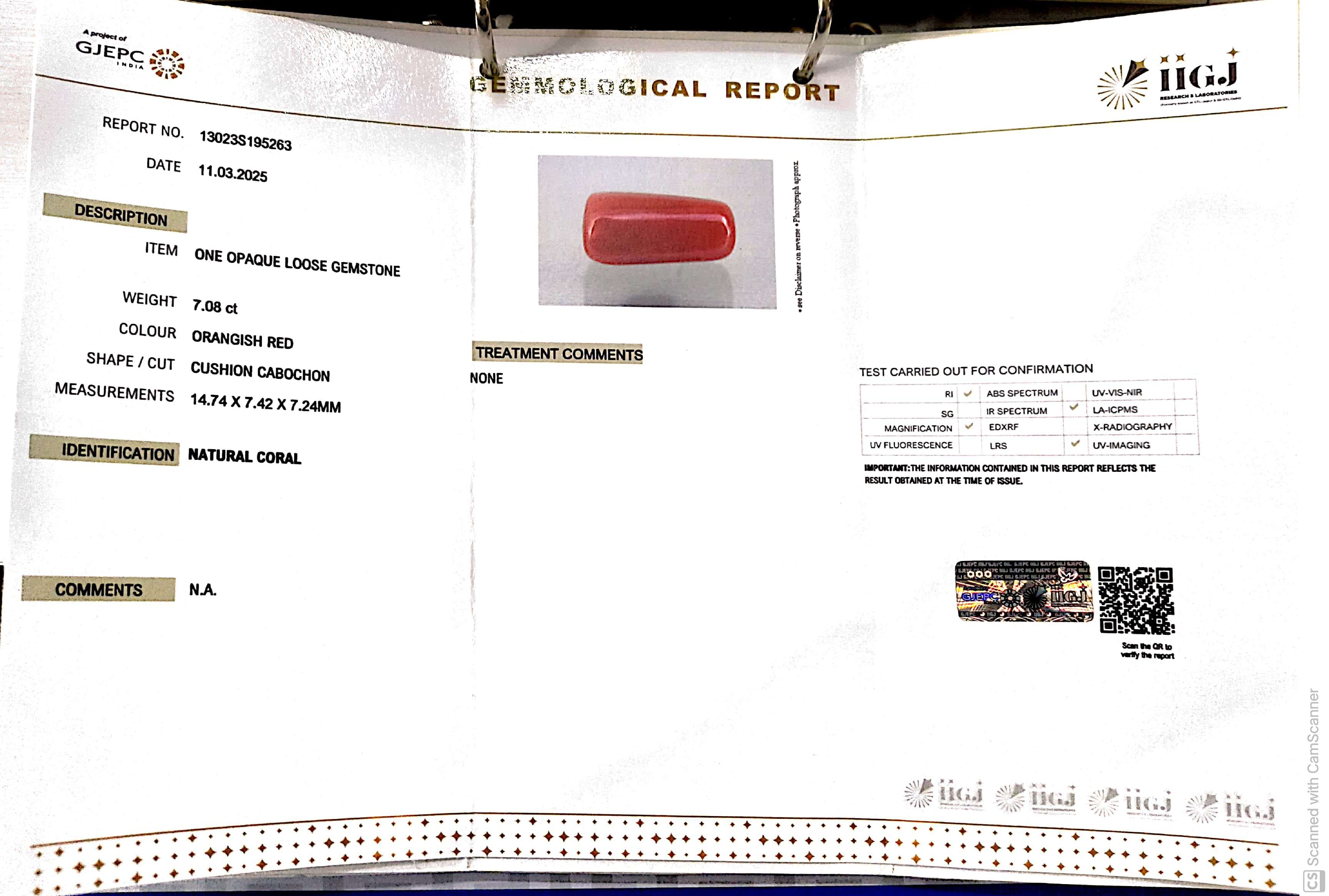 7.08/CT Natural Red Coral | Premium Quality