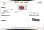 Load image into Gallery viewer, 7.08/CT Natural Red Coral With Govt. Lab Certificate