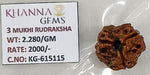 Load image into Gallery viewer, 2.280 Gram Natural Three Mukhi Rudraksha with Govt. Lab Certificate-KG615115