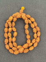 Load image into Gallery viewer, TWO MUKHI RUDRAKSHA MALA - KG01