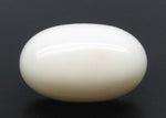Load image into Gallery viewer, 14.51/CT White Coral with Govt. Lab Certified (1500)