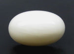 Load image into Gallery viewer, 8.55/CT White Coral with Govt. Lab Certificate - 10617D42922