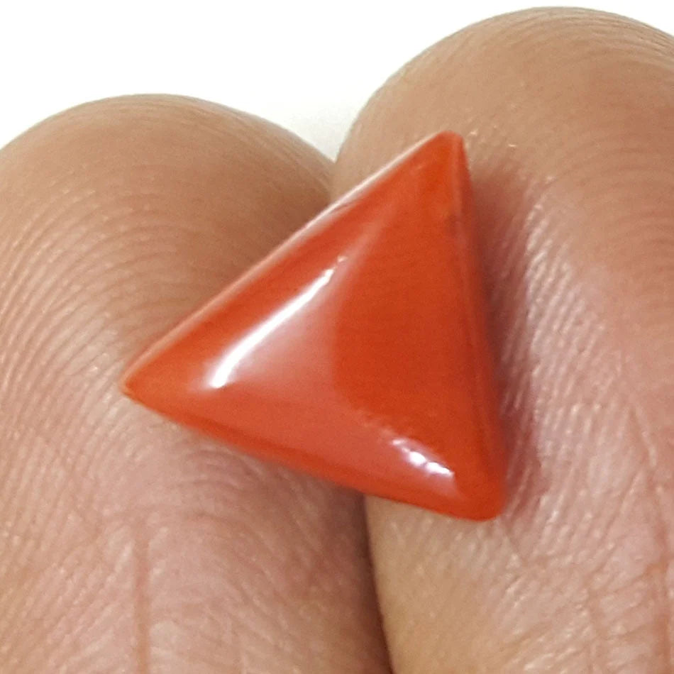 4.80 Carat Natural Italian Triangular Red Coral-(1054)