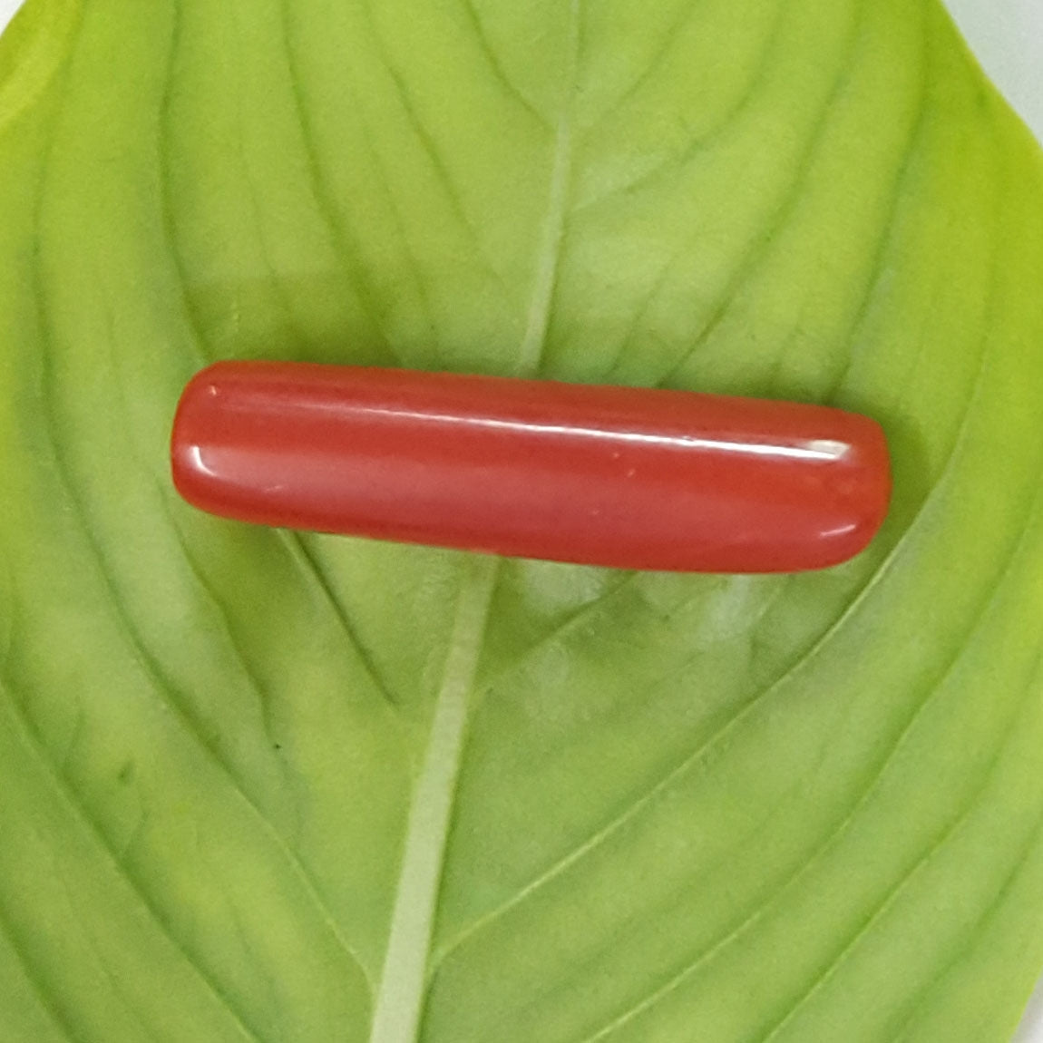 2.50/CT Natural Italian Red Coral