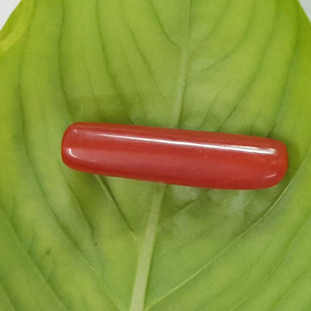 2.45/CT Natural Italian Moonga-826811