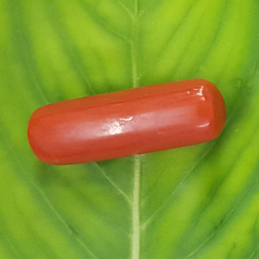 2.70/CT Natural Italian Moonga-826813
