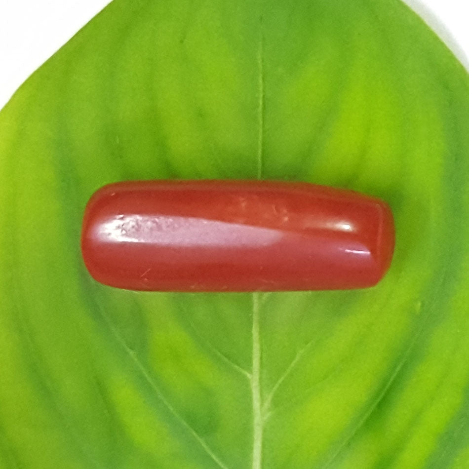 2.95/CT Natural Italian Moonga