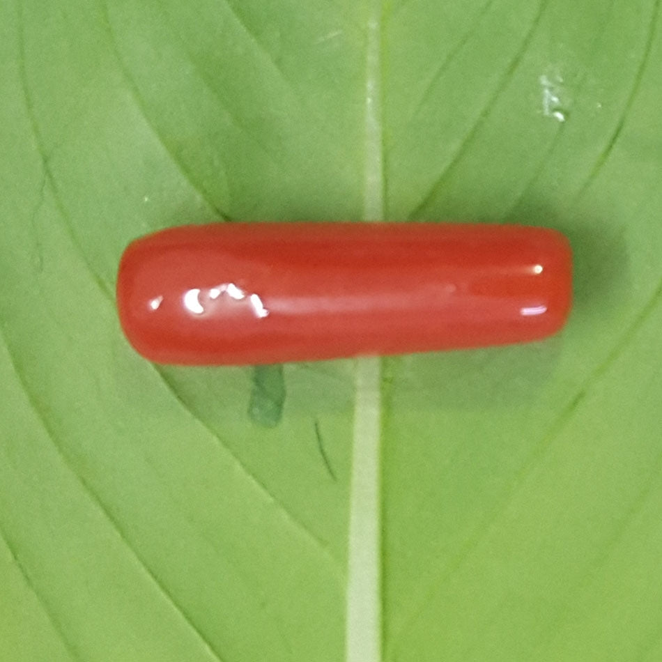 2.25/CT Natural Italian Moonga-826853
