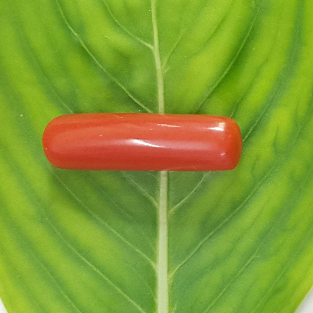 2.75/CT Natural Italian Moonga