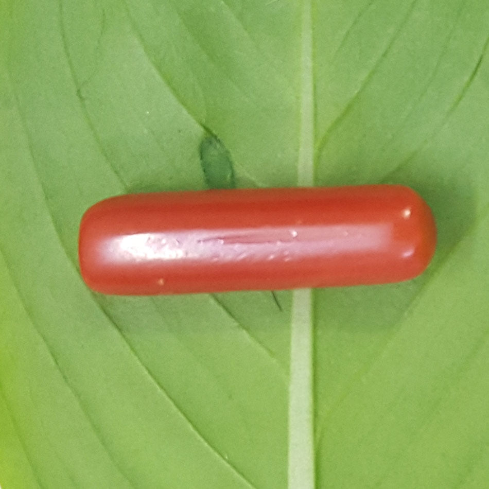 2.70/CT Natural Italian Moonga-826885