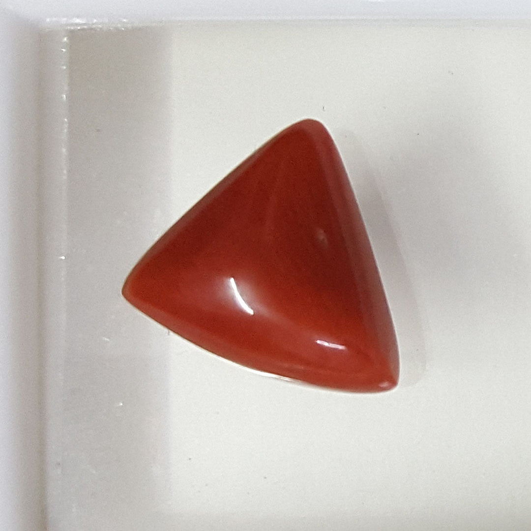 4.60/CT Natural Triangular Red Coral-1054