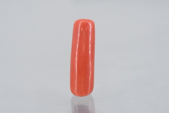 8.41/Carat Natural Cylindrical Red Coral (1800)