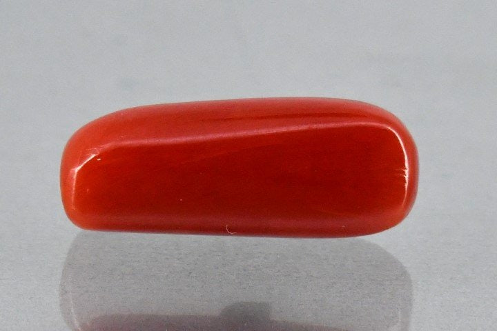 8.65/Carat Natural Cylindrical Red Coral (2100)