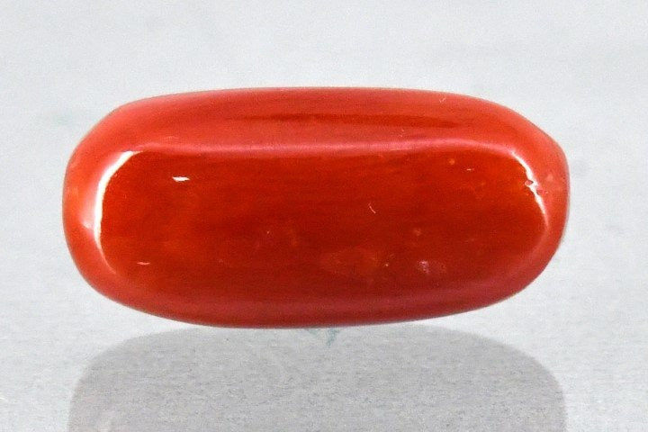 6.73/Carat Natural Cylindrical Red Coral (2100)