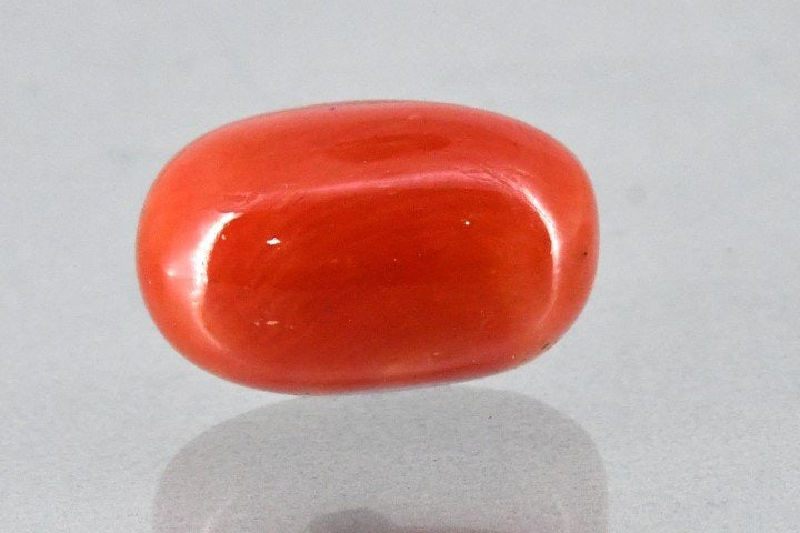 11.90/Carat Natural Cylindrical Red Coral (2100)