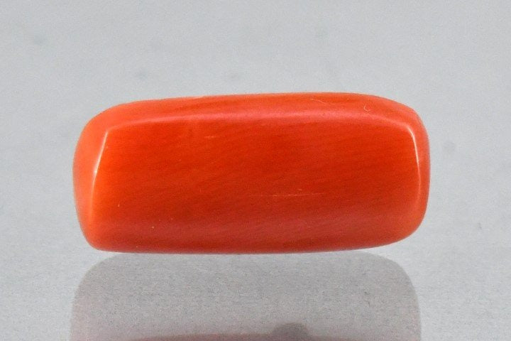 8.11/Carat Natural Cylindrical Red Coral (2100)