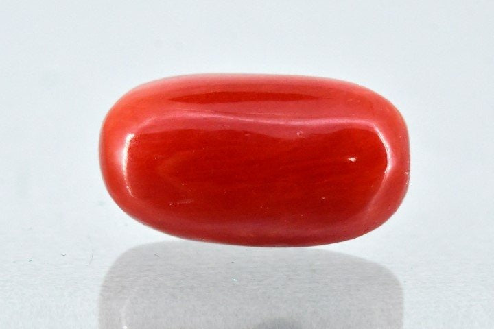 7.00/Carat Natural Cylindrical Red Coral-1800