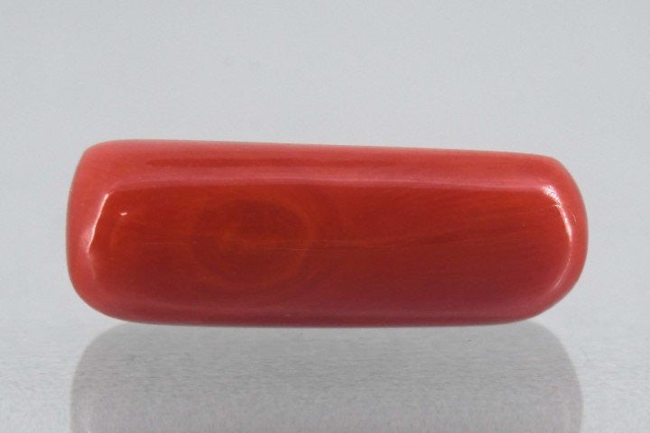 8.25/Carat Natural Cylindrical Red Coral-1800