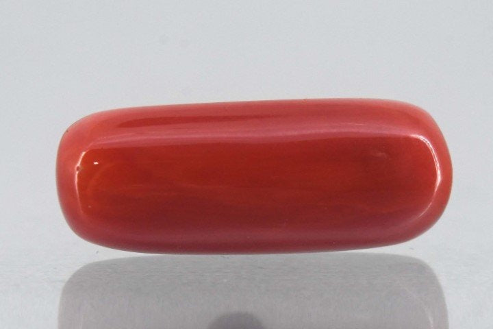 8.61 Ratti Natural Cylindrical Red Coral-12217S192588