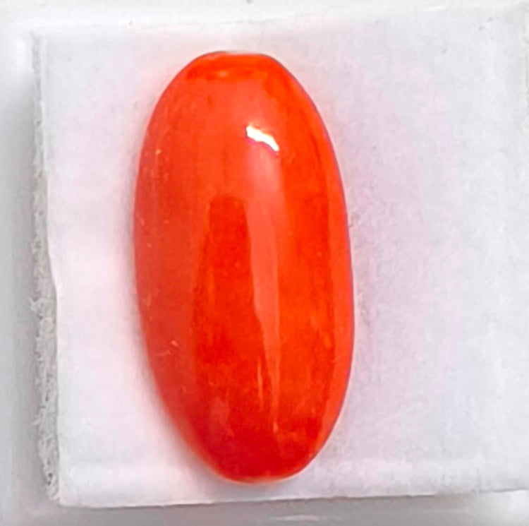 8.24/Carat Natural Japanese Red Coral-7100