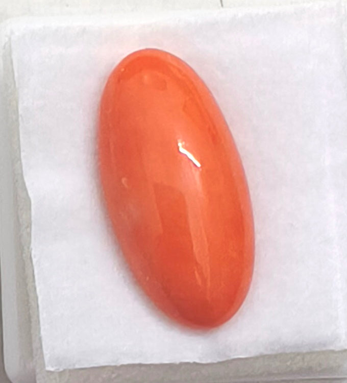 8.61/Carat Natural Japanese Red Coral-7100