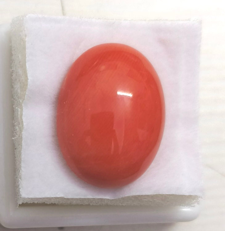 15.55/Carat Natural Japanese Red Coral-7100