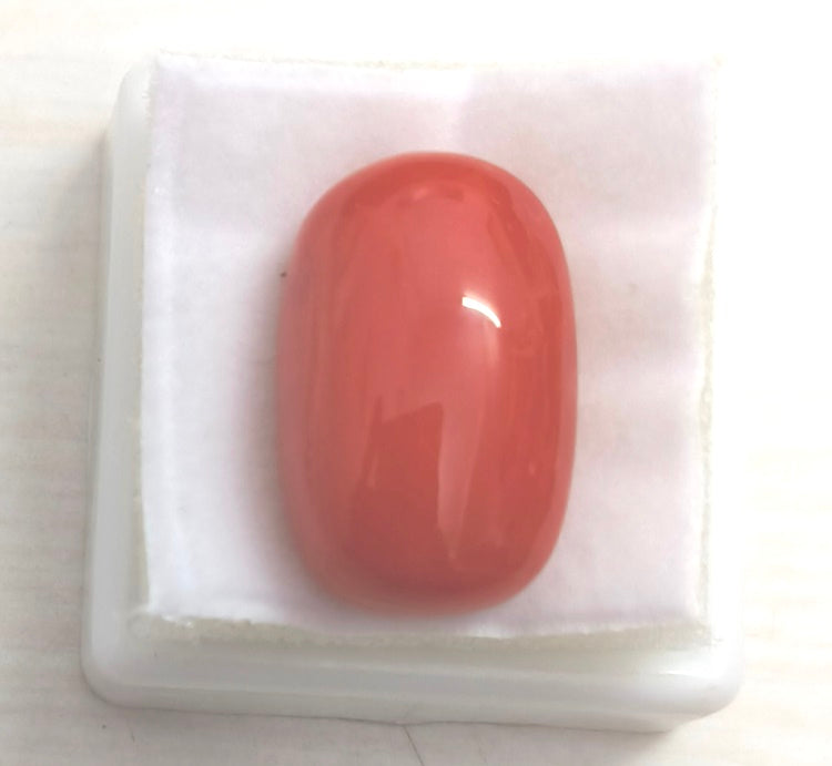 18.28/Carat Natural Cylindrical Red Coral-3100