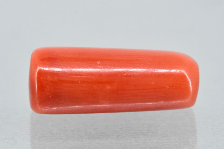 8.47/Carat Natural Red Coral (1800)