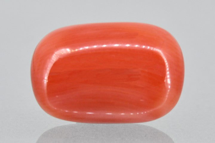 13.19/Carat Natural Red Coral (2100)