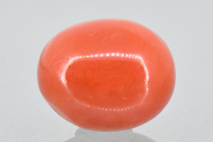 11.63/Carat Natural Red Coral (2100)