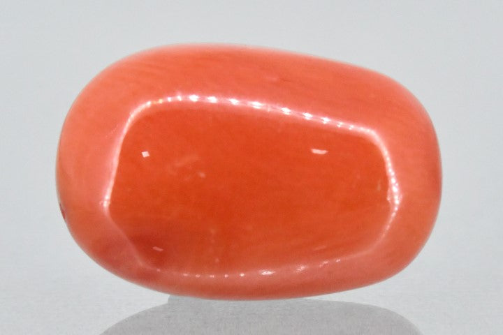 11.40/Carat Natural Red Coral (2100)