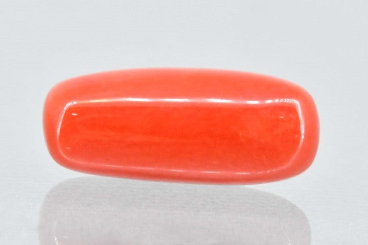 6.25/CT Natural Cylindrical Red Coral
