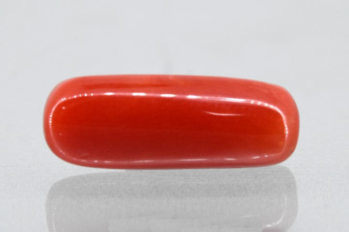 6.39/Carat Natural Cylindrical Red Coral (1800)