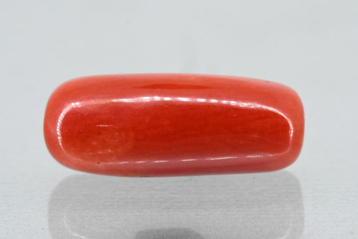 6.31/Carat Natural Cylindrical Red Coral (1800)