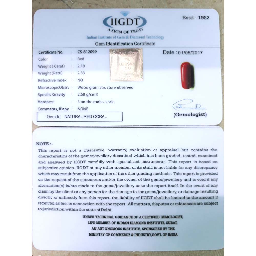 2.10/CT Natural Italian Moonga