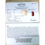 Load image into Gallery viewer, Natural Italian Moonga