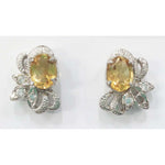 Load image into Gallery viewer, SILVER TOPS