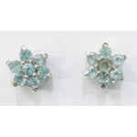 Load image into Gallery viewer, SILVER TOPS