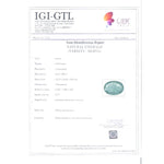 Load image into Gallery viewer, 9.92/CT Natural Panna Stone with Govt. Lab Certificate (12210)