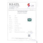 Load image into Gallery viewer, 8.83/CT Natural Panna Stone With Govt. Lab Certificate (8991)