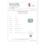 Load image into Gallery viewer, 4.81/CT Natural Colombian Panna Stone with Govt. Lab Certified-(8991)