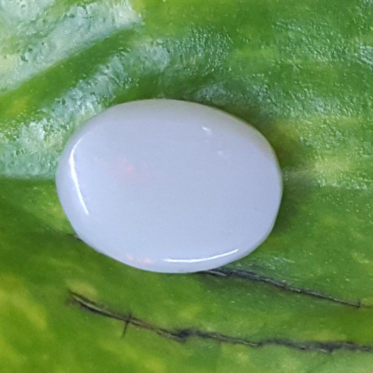 2.80 Ratti Natural fire Opal with Govt. Lab Certificate-(1221)