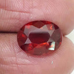 Load image into Gallery viewer, 5.58 gomed with Govt Lab Certified-(1100)