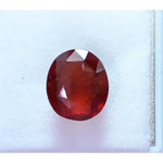 Load image into Gallery viewer, Ceylonese Gomed-(1100)